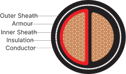 AYFY/YFY, AYWY/YWY-2 CORE - Image 2