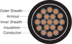 2XY/2XFY/2XWY-2.5 Sq. mm - Image 2
